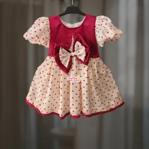 Royal Silk Party Frock RS1T1