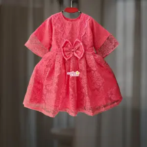  Misty Organza Party Frock OP7T1